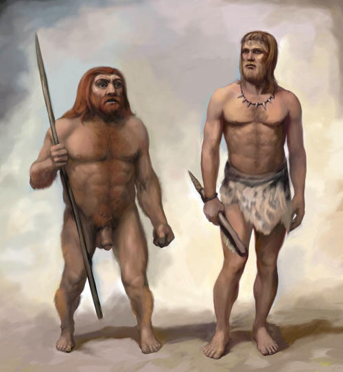 homo sapiens ve neandertal ile ilgili görsel sonucu