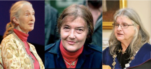 Jane Goodall, Dian Fossey, and Birutė Galdikas